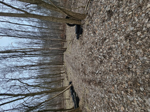 Zdjęcie 3 przedstawia problem zgłoszony w tym alercie