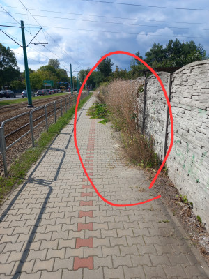 Zdjęcie 2 przedstawia problem zgłoszony w tym alercie