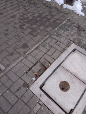 Zdjęcie 1 przedstawia problem zgłoszony w tym alercie