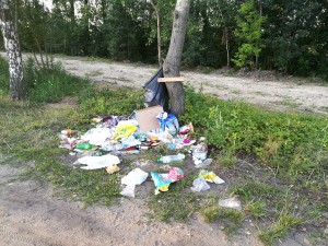 Zdjęcie 1 przedstawia problem zgłoszony w tym alercie