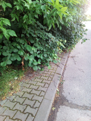 Zdjęcie 1 przedstawia problem zgłoszony w tym alercie