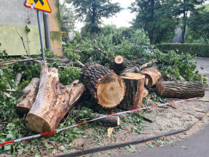 Zdjęcie 5 przedstawia problem zgłoszony w tym alercie