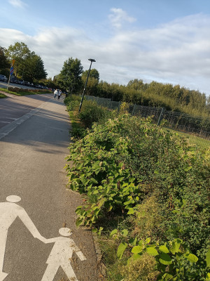 Zdjęcie 4 przedstawia problem zgłoszony w tym alercie