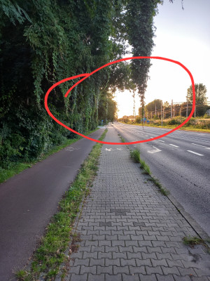 Zdjęcie 2 przedstawia problem zgłoszony w tym alercie