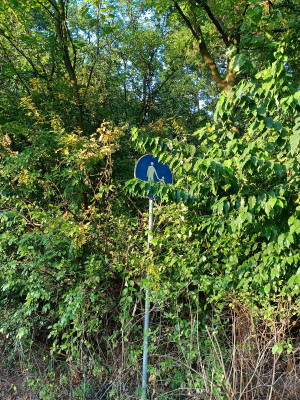 Zdjęcie 2 przedstawia problem zgłoszony w tym alercie