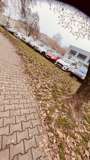Zdjęcie 3 przedstawia problem zgłoszony w tym alercie