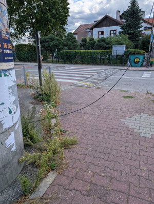 Zdjęcie 2 przedstawia problem zgłoszony w tym alercie