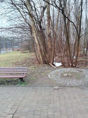 Zdjęcie 4 przedstawia problem zgłoszony w tym alercie