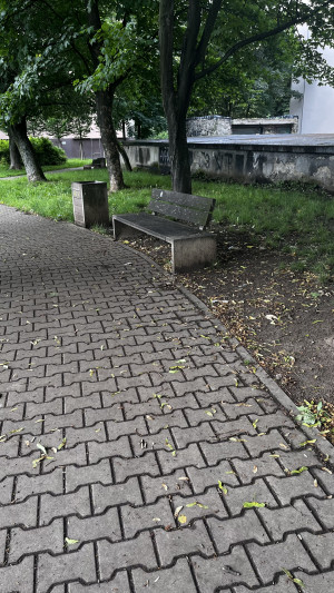Zdjęcie 2 przedstawia problem zgłoszony w tym alercie