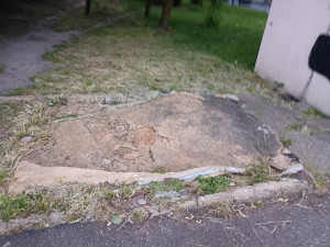 Zdjęcie 2 przedstawia problem zgłoszony w tym alercie