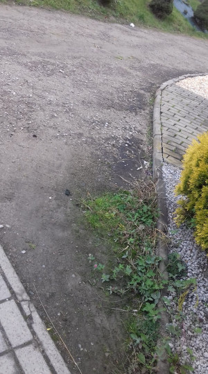 Zdjęcie 1 przedstawia problem zgłoszony w tym alercie