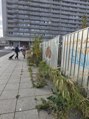 Zdjęcie 2 przedstawia problem zgłoszony w tym alercie