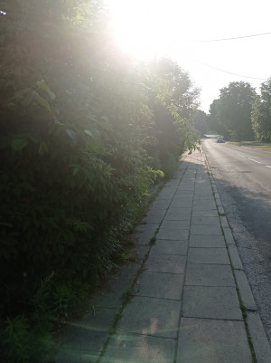 Zdjęcie 2 przedstawia problem zgłoszony w tym alercie