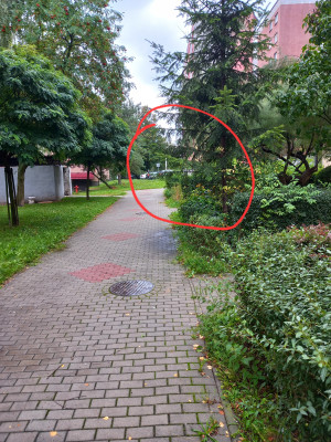 Zdjęcie 1 przedstawia problem zgłoszony w tym alercie