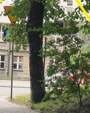 Zdjęcie 2 przedstawia problem zgłoszony w tym alercie