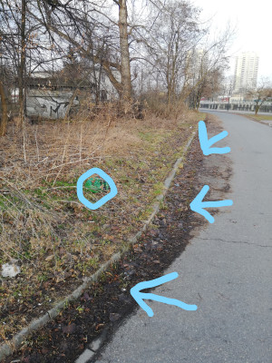 Zdjęcie 1 przedstawia problem zgłoszony w tym alercie