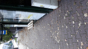 Zdjęcie 1 przedstawia problem zgłoszony w tym alercie