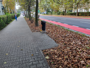 Zdjęcie 1 przedstawia problem zgłoszony w tym alercie