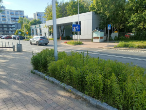 Zdjęcie 1 przedstawia problem zgłoszony w tym alercie