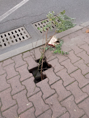 Zdjęcie 1 przedstawia problem zgłoszony w tym alercie