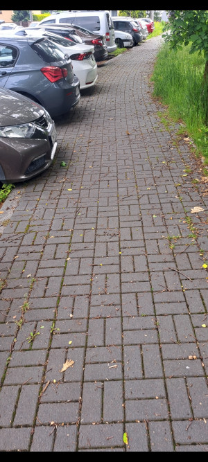 Zdjęcie 2 przedstawia problem zgłoszony w tym alercie