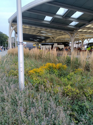 Zdjęcie 3 przedstawia problem zgłoszony w tym alercie