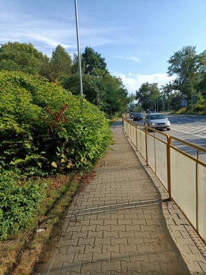 Zdjęcie 4 przedstawia problem zgłoszony w tym alercie