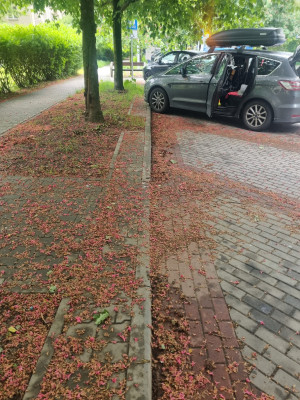 Zdjęcie 2 przedstawia problem zgłoszony w tym alercie