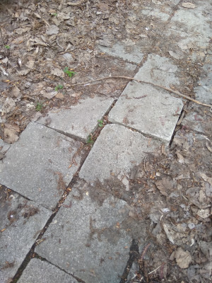 Zdjęcie 1 przedstawia problem zgłoszony w tym alercie