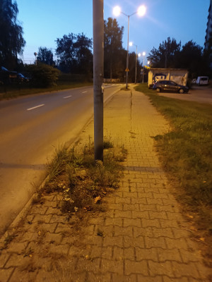 Zdjęcie 3 przedstawia problem zgłoszony w tym alercie