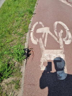 Zdjęcie 1 przedstawia problem zgłoszony w tym alercie