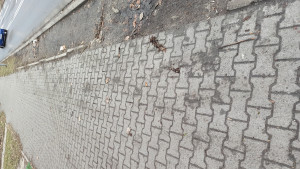 Zdjęcie 3 przedstawia problem zgłoszony w tym alercie