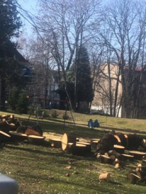Zdjęcie 3 przedstawia problem zgłoszony w tym alercie