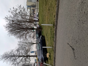 Zdjęcie 3 przedstawia problem zgłoszony w tym alercie
