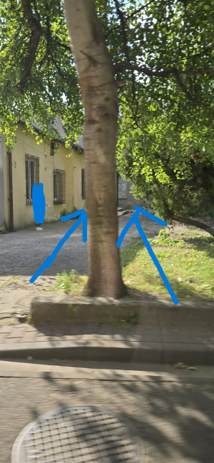 Zdjęcie 3 przedstawia problem zgłoszony w tym alercie