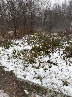 Zdjęcie 3 przedstawia problem zgłoszony w tym alercie