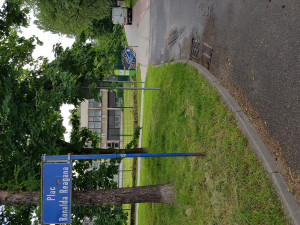 Zdjęcie 2 przedstawia problem zgłoszony w tym alercie