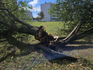 Zdjęcie 2 przedstawia problem zgłoszony w tym alercie