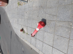 Zdjęcie 1 przedstawia problem zgłoszony w tym alercie