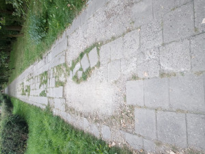 Zdjęcie 1 przedstawia problem zgłoszony w tym alercie