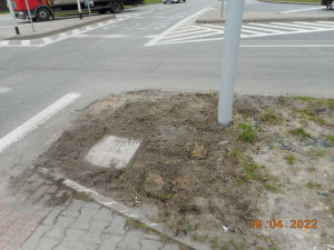 Zdjęcie 5 przedstawia problem zgłoszony w tym alercie