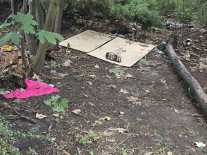 Zdjęcie 2 przedstawia problem zgłoszony w tym alercie