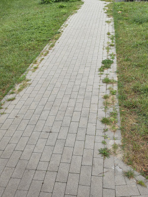 Zdjęcie 3 przedstawia problem zgłoszony w tym alercie