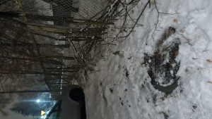 Zdjęcie 2 przedstawia problem zgłoszony w tym alercie