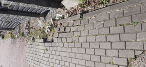 Zdjęcie 1 przedstawia problem zgłoszony w tym alercie