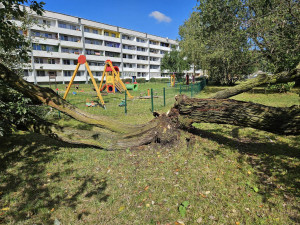 Zdjęcie 1 przedstawia problem zgłoszony w tym alercie