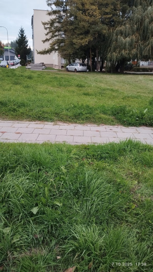 Zdjęcie 1 przedstawia problem zgłoszony w tym alercie