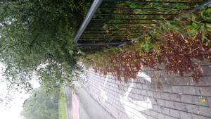 Zdjęcie 1 przedstawia problem zgłoszony w tym alercie