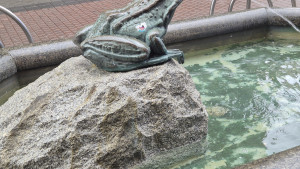 Zdjęcie 1 przedstawia problem zgłoszony w tym alercie