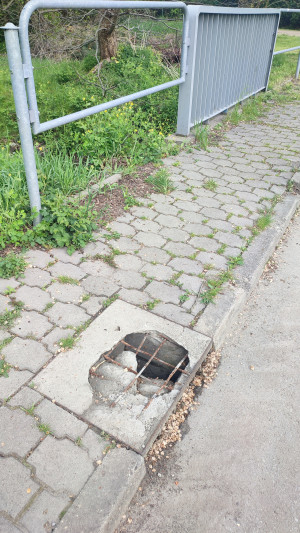 Zdjęcie 1 przedstawia problem zgłoszony w tym alercie